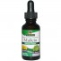 Mullein, Alcohol-Free, 2000 mg (30 ml) – Nature's Answer