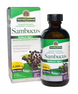 Nature's Answer, Sambucus, Extrait de baies noires, 4 fl oz (120 ml)