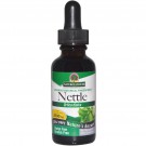 Nettle Leaf, Alcohol-Free, 2000 mg (30 ml) – Nature's Answer