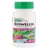 Herbal Actives- Boswellin- 300 mg (60 Vegetarian Capsules) - Nature's Plus