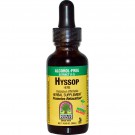 Hyssop Herb, Alcohol-Free (30 ml) - Nature's Answer