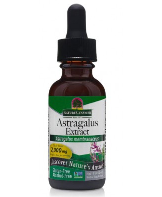 Astragalus, Alcohol-Free, 2000 mg (30 ml) – Nature's Answer